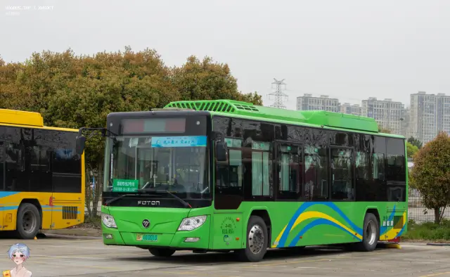 800BUS