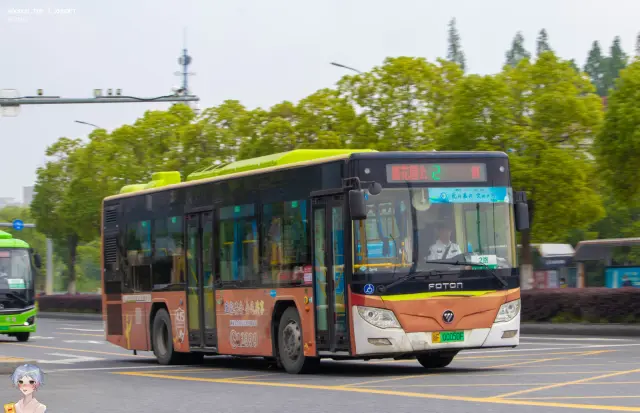 800BUS