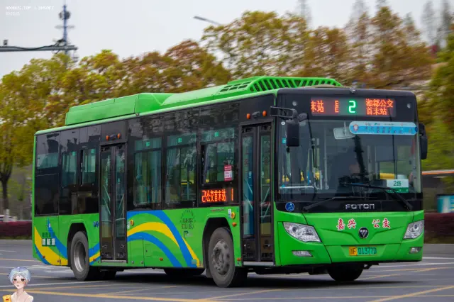 800BUS