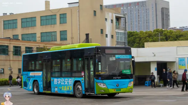 800BUS