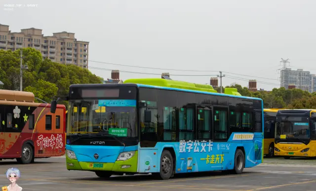 800BUS