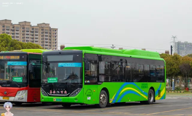 800BUS
