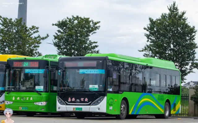 800BUS