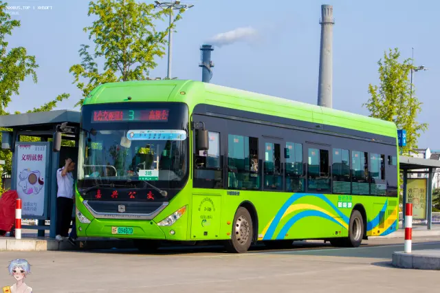 800BUS