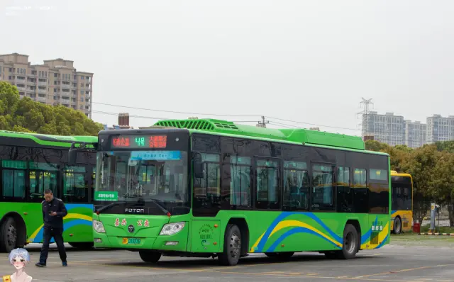 800BUS