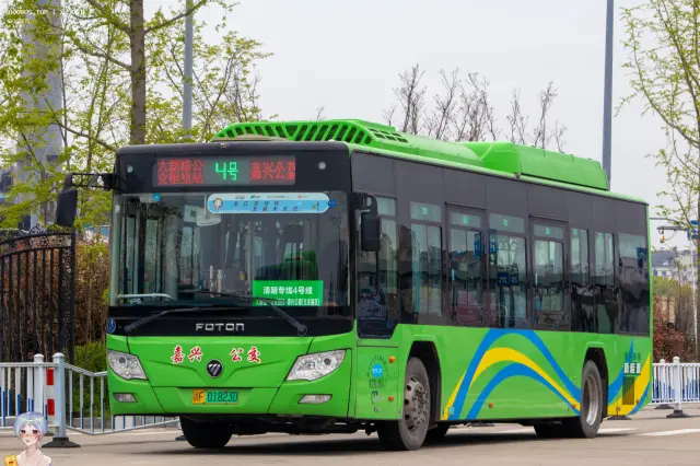 800BUS
