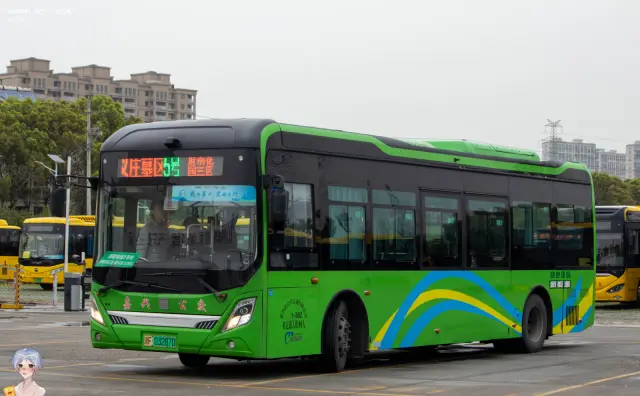 800BUS