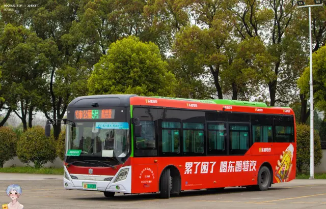 800BUS