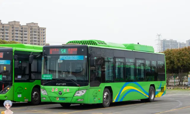 800BUS