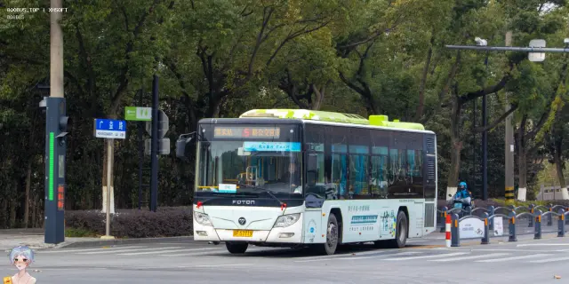 800BUS
