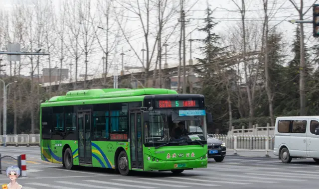 800BUS
