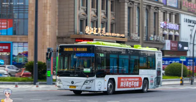 800BUS