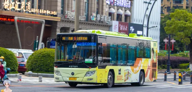 800BUS