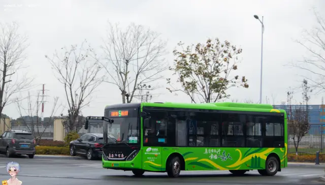 800BUS