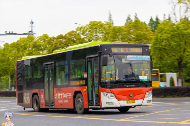 800BUS