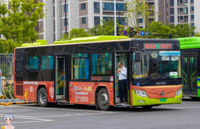 800BUS