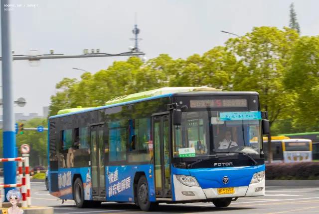 800BUS
