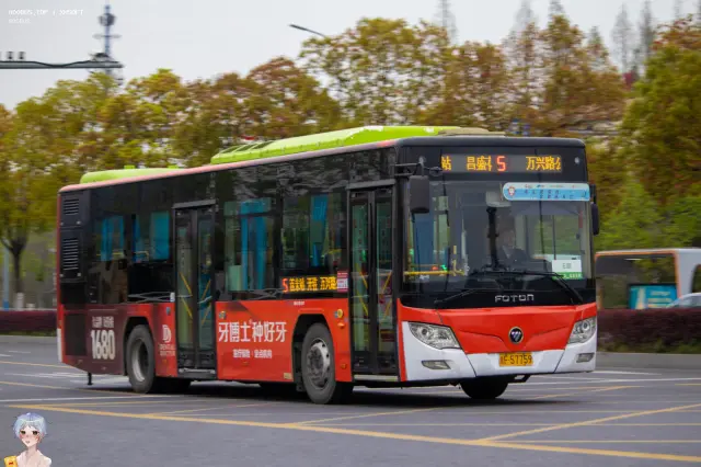 800BUS