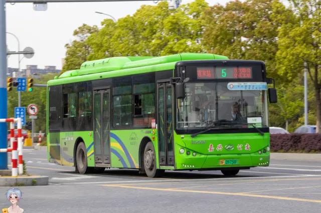 800BUS