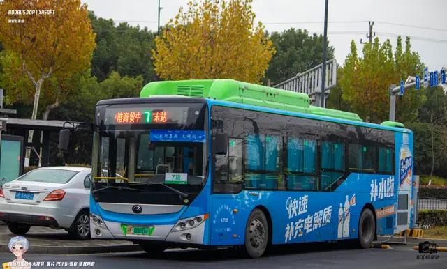 800BUS