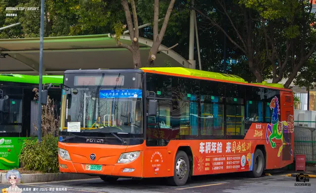 800BUS