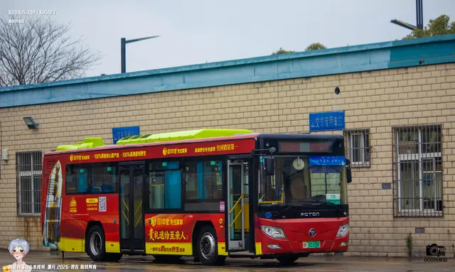 800BUS