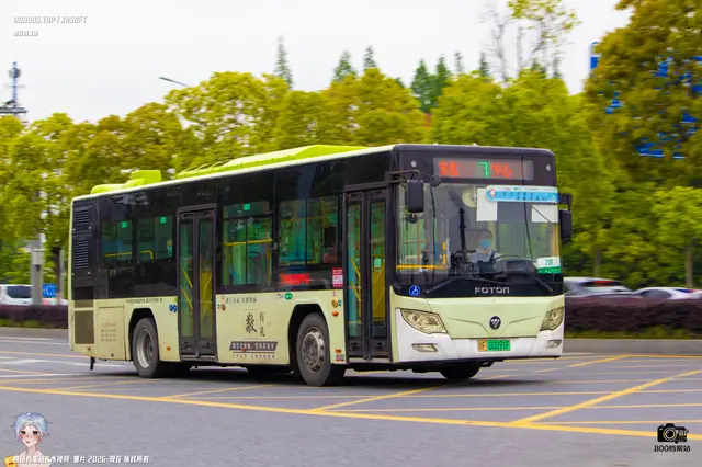 800BUS