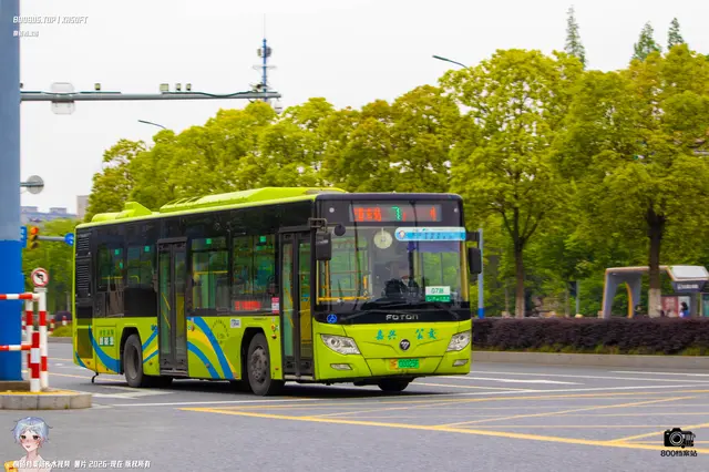 800BUS