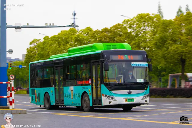 800BUS