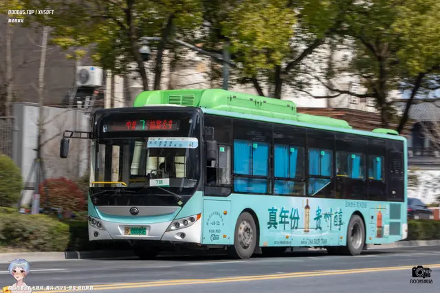 800BUS