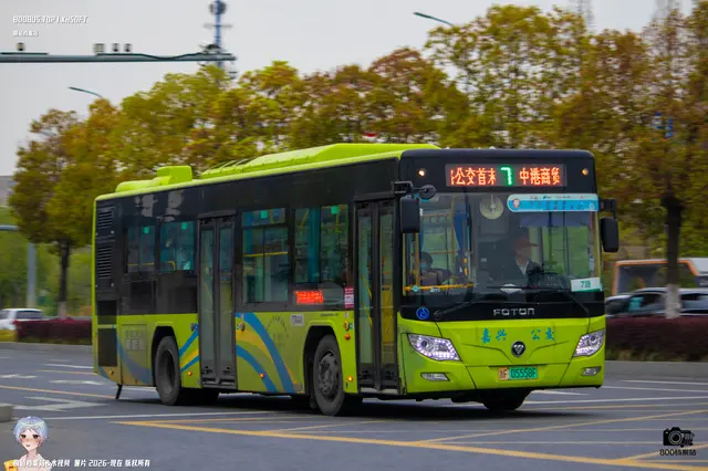 800BUS