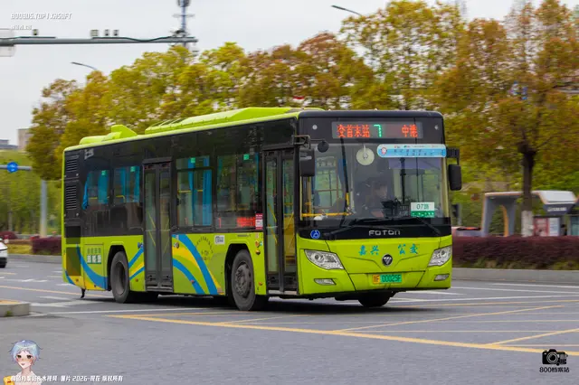800BUS