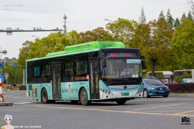 800BUS