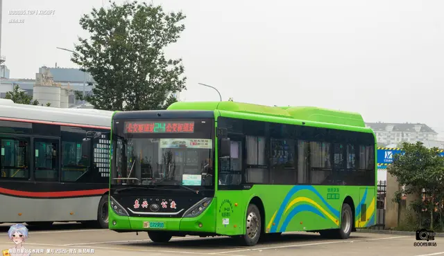 800BUS