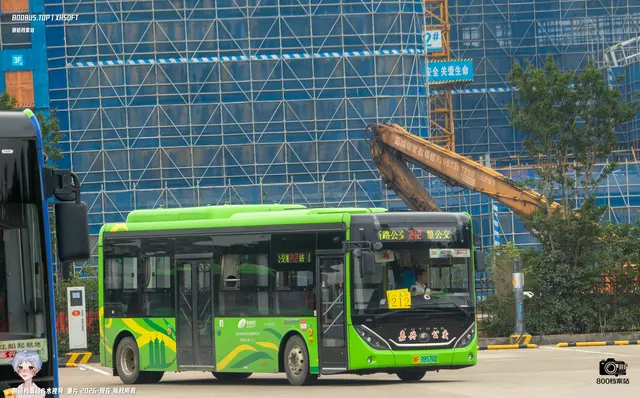 800BUS