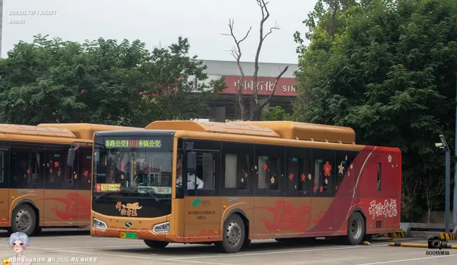 800BUS