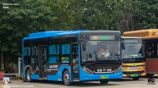 800BUS
