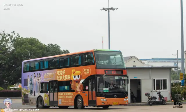 800BUS