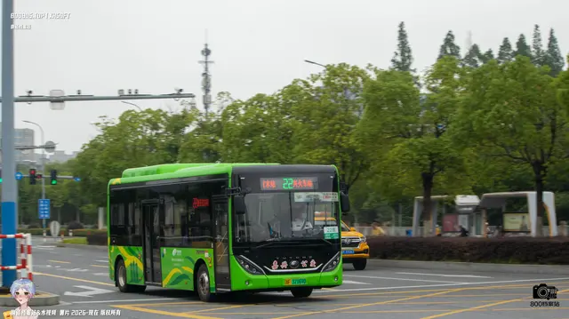 800BUS