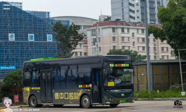 800BUS