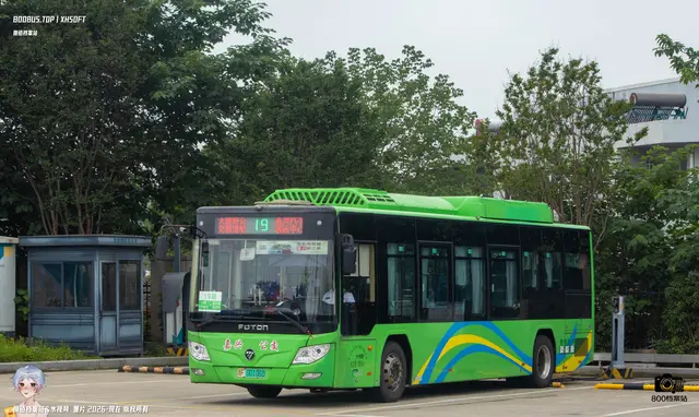 800BUS