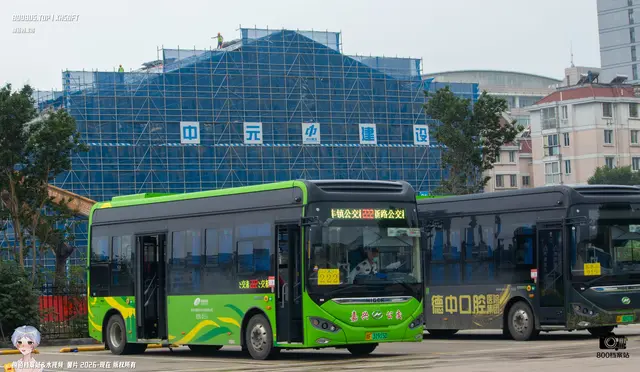 800BUS