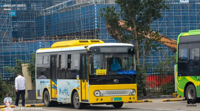 800BUS