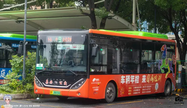 800BUS