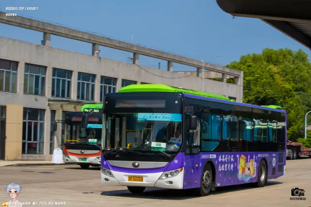 800BUS