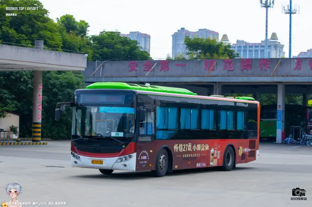 800BUS