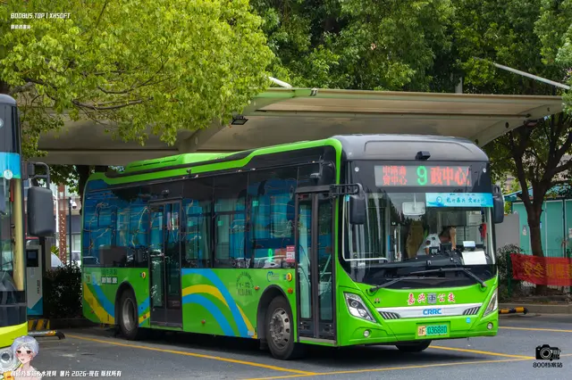 800BUS