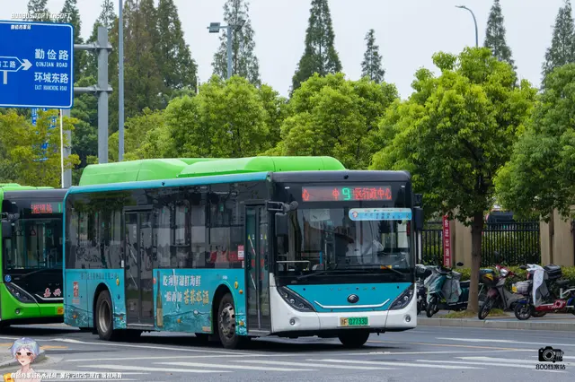 800BUS