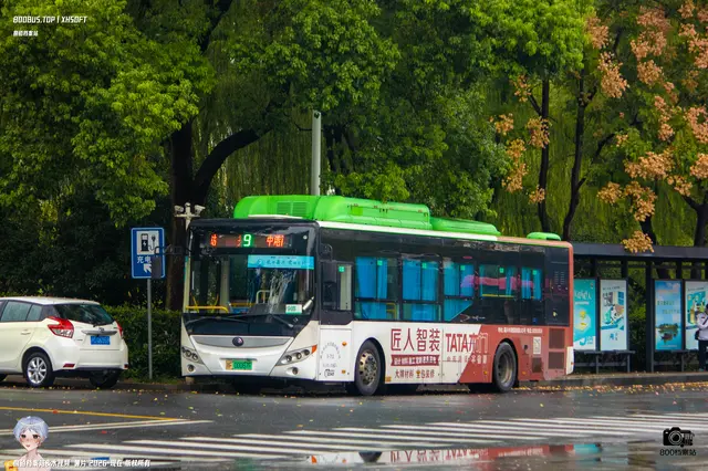 800BUS