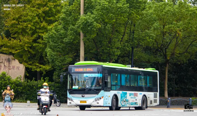 800BUS